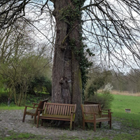AKD_Newsletter_2021-3_Lehnin