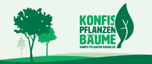 Konfis pflanzen Bäume