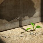 Active Hope! Einführung in die Tiefenökologie nach Joanna Macy