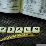 Was kommt nach dem Psalm?
