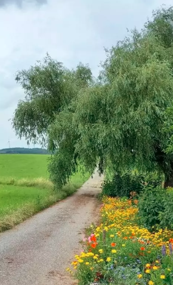 Weg des Herzens 2023