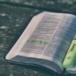 Pastoralkolleg ONLINE: Predigtmeditation "Sonntag Jubilate"
