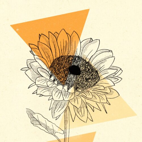 Bild von Ylanite Koppens auf Pixabay Gezeichnete Sonnenblume mit dreieckigen farbigen Flächen im Hintergrund
